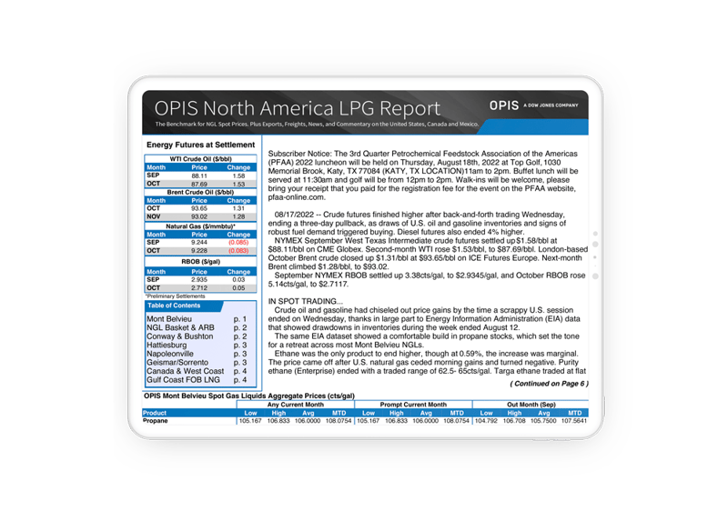 North America LPG report tablet mockup