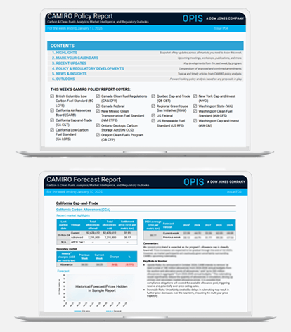 camiro-screenshots-laptops