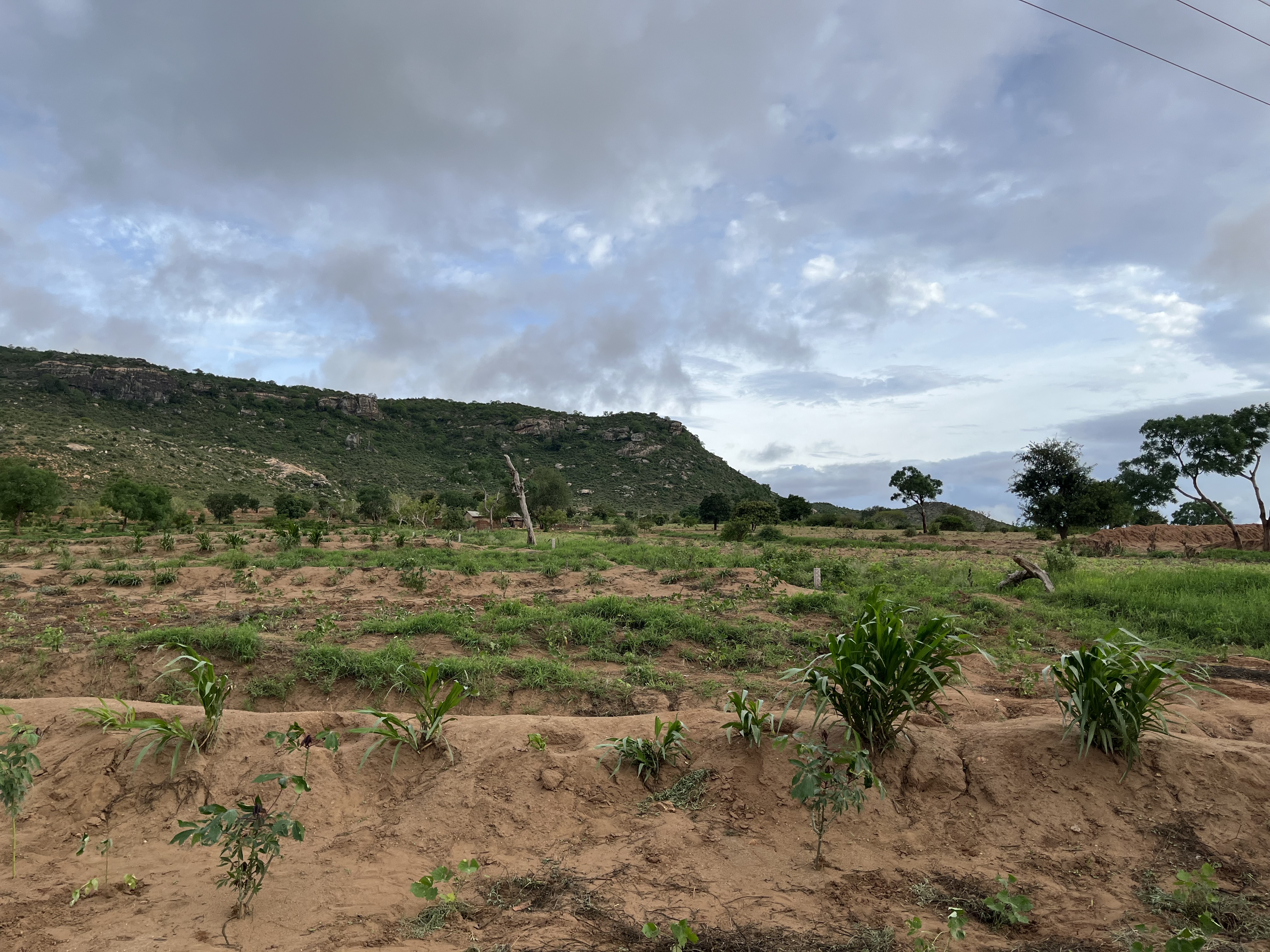 kenya-farmland-2023soil in the farmland in Taita Taveta has degraded due to overtilling and erosion